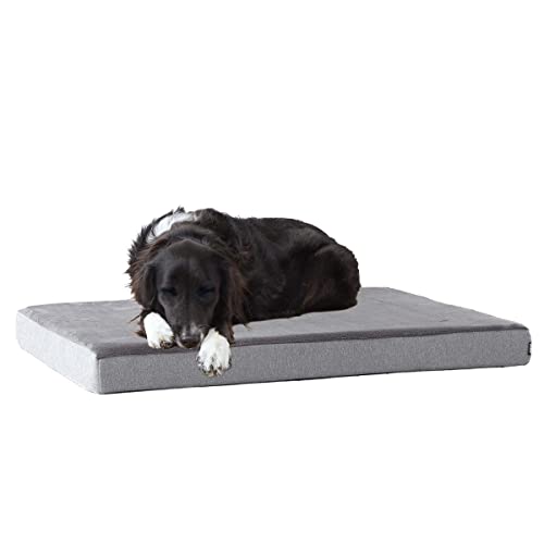 Barkbox Orthopedic Dog Bed | Comfortable Memory Foam Mattress for Joint Relief | Head and Neck Support Waterproof with Non Skid Bottom | Calming Durable Bed with Washable Cover | Medium, Grey