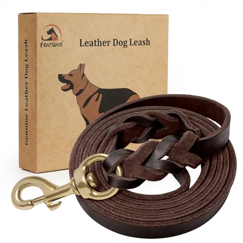 FAIRWIN Braided Leather Dog Leash 6 Foot - Dog Training Leash for Large Medium Small Dogs (Brown, S:1/2' x 6ft)