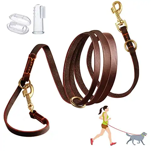 LWBMG Multi-Function Dog Leash