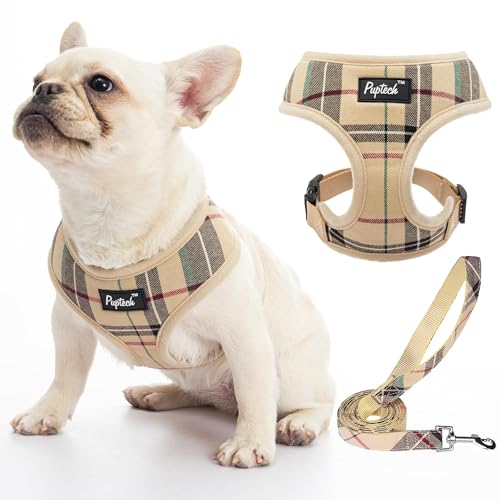 PUPTECK Soft Mesh Dog Harness and Leash Set Pet Puppy Cat Comfort Padded Vest No Pull Harnesses, Beige, S