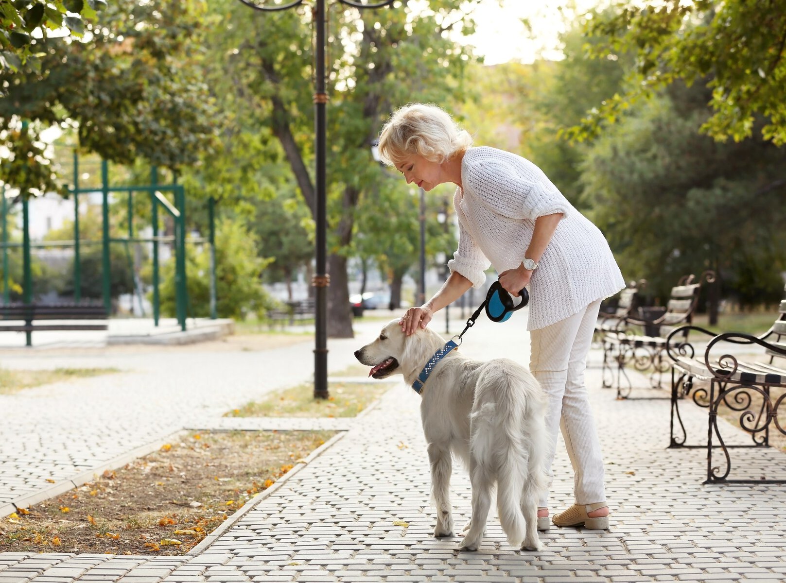 Leash for Arthritic Hands