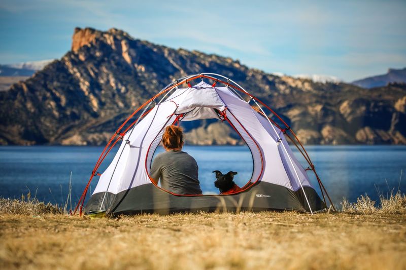 Best Tents for Dogs