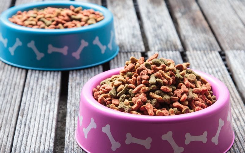 dog food transition