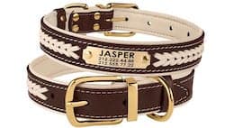 Braided Leather Dog Collar