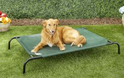 Coolaroo elevated dog bed