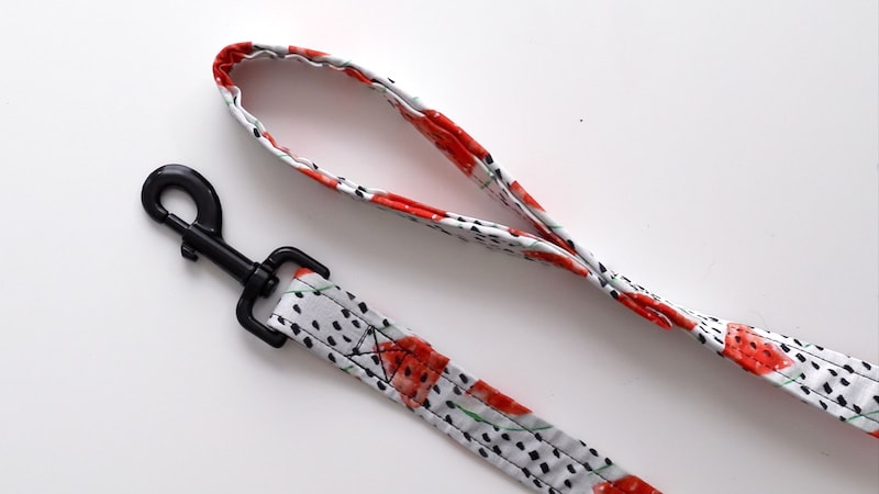 DIY DOG LEASH3 1