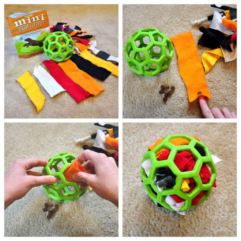 DIY Dog Toy 9