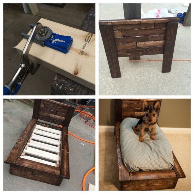 Make a dog bed from a pallet