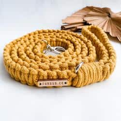 Macramé Dog Leash