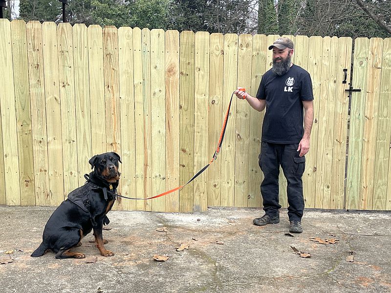 dog on a shortened multi-function leash