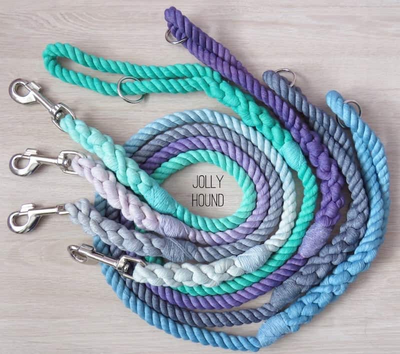 Ombre Rope Lead