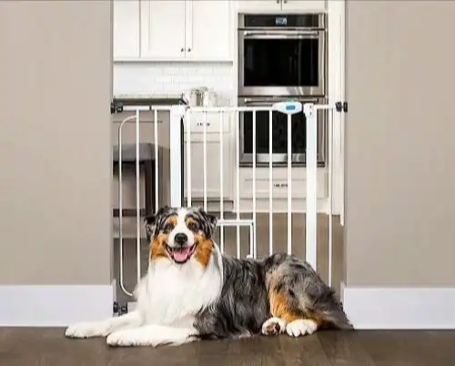 Carlson Pet Products Pet Gate with Dog Door