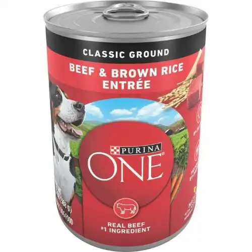 Purina ONE Classic Ground Beef & Brown Rice