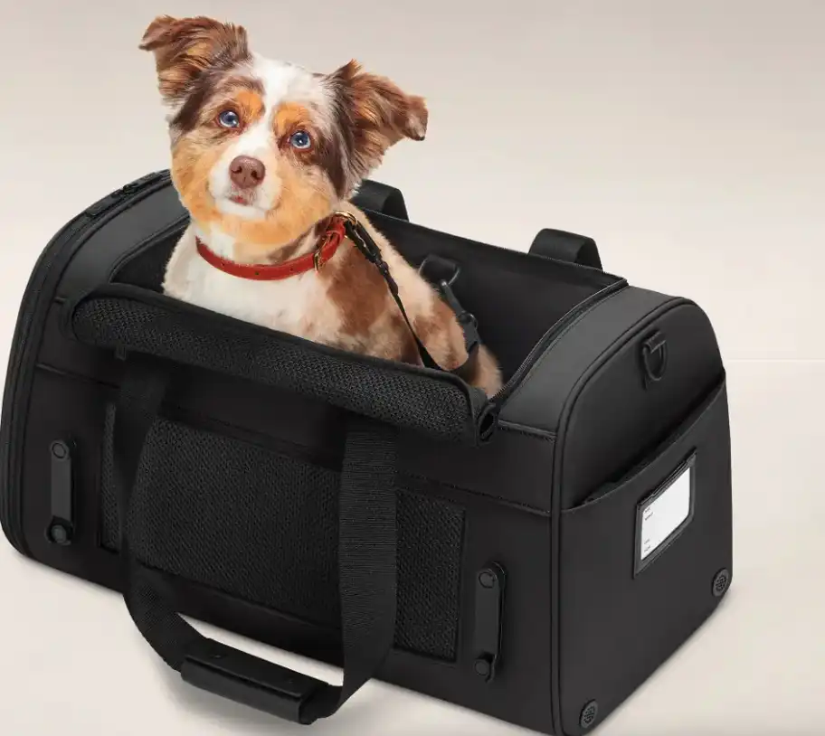 Away Pet Carrier