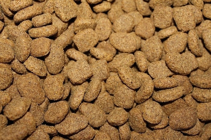 alligator based dog food