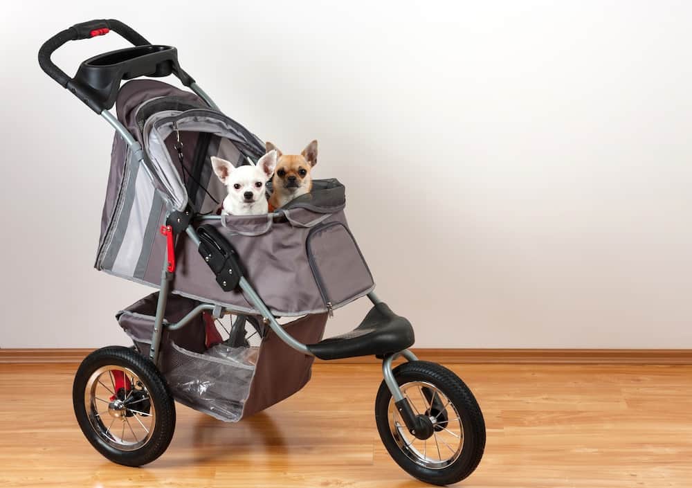 best dog strollers