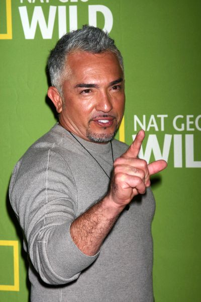 Cesar Millan controversy