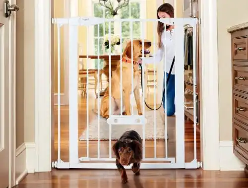 MYPET North States Wide Essential Walk Thru Gate