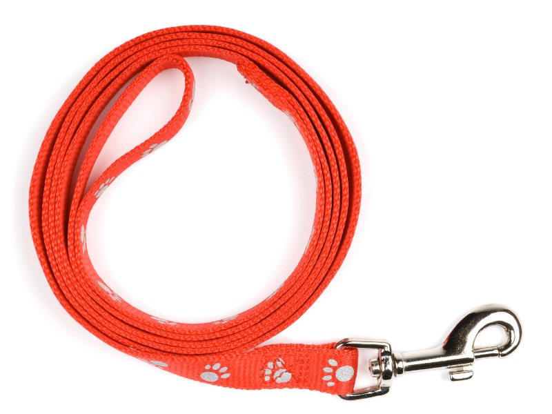 nylon dog leash