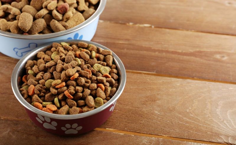 high-fiber-dog-food