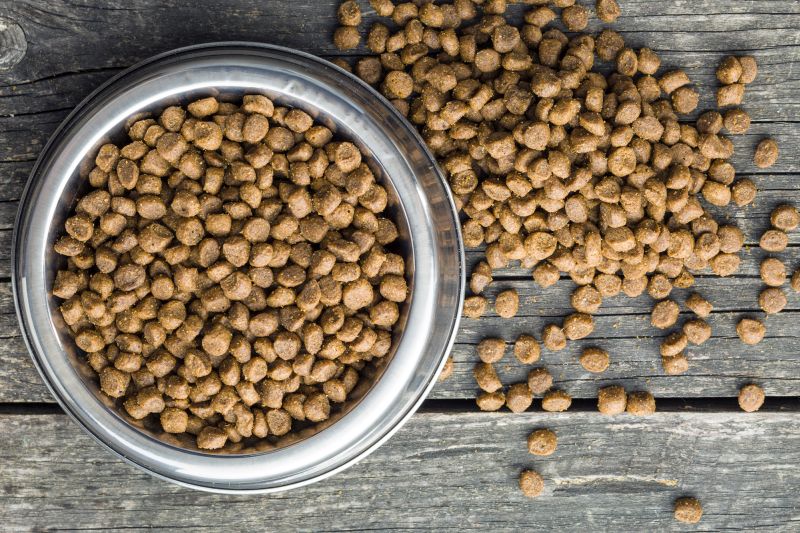 questions about potential dog food