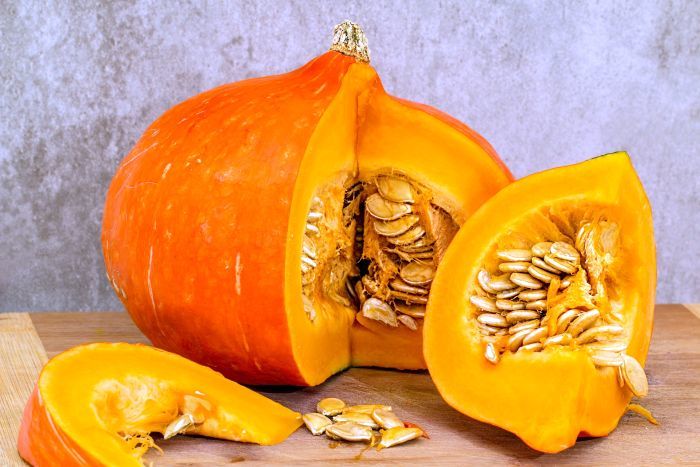 pumpkin for dogs