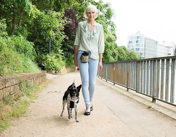 Retractable leash for dogs